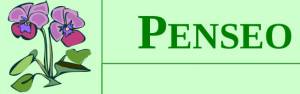 penseo.jpg